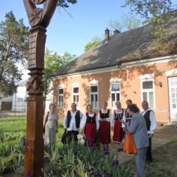 „Hej, tulipán, tulipán...” Dombóvári Herbárium