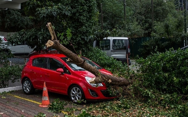 Tehetünk azért, hogy kevesebb viharkár legyen